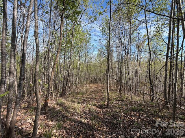 0 Running Cedar Trail, Morganton, NC 28655