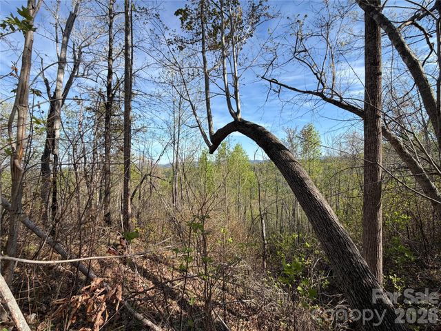 0 Running Cedar Trail, Morganton, NC 28655