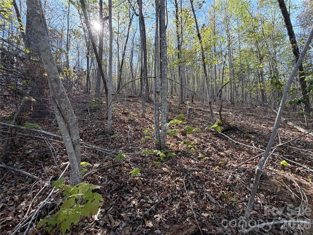 0 Running Cedar Trail, Morganton, NC 28655