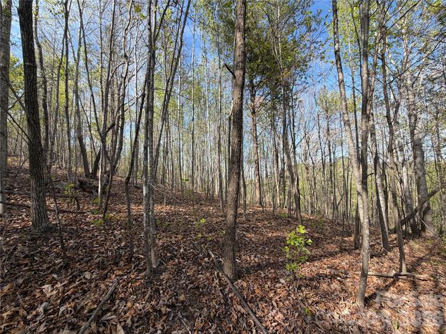 0 Running Cedar Trail, Morganton, NC 28655
