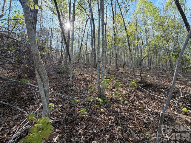 0 Running Cedar Trail, Morganton, NC 28655