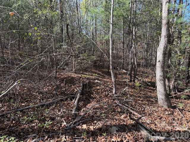 0 Running Cedar Trail, Morganton, NC 28655