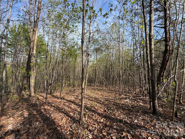 0 Running Cedar Trail, Morganton, NC 28655
