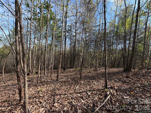 0 Running Cedar Trail, Morganton, NC 28655