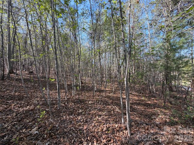 0 Running Cedar Trail, Morganton, NC 28655