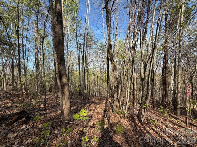 0 Running Cedar Trail, Morganton, NC 28655