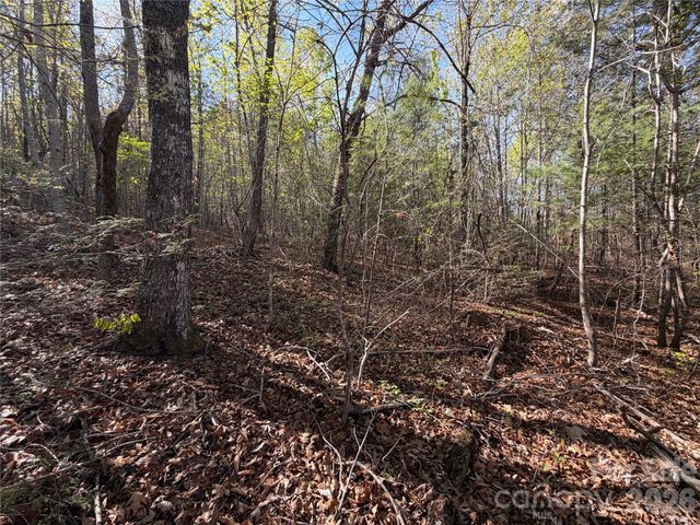 0 Running Cedar Trail, Morganton, NC 28655
