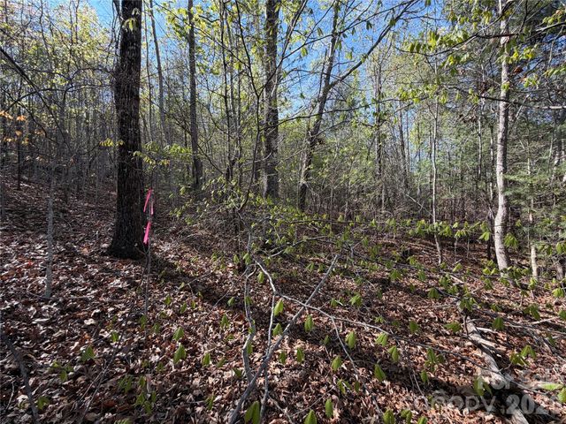 0 Running Cedar Trail, Morganton, NC 28655