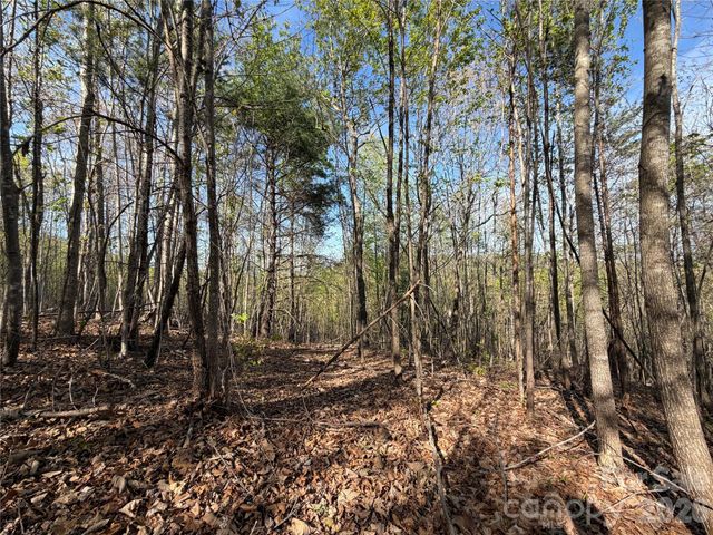 0 Running Cedar Trail, Morganton, NC 28655