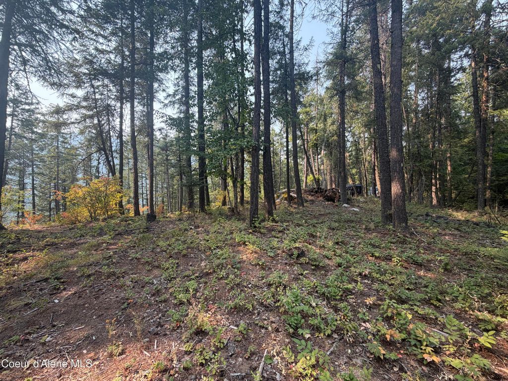 400 Riverview RDG, Sandpoint, ID 83864 photo 3