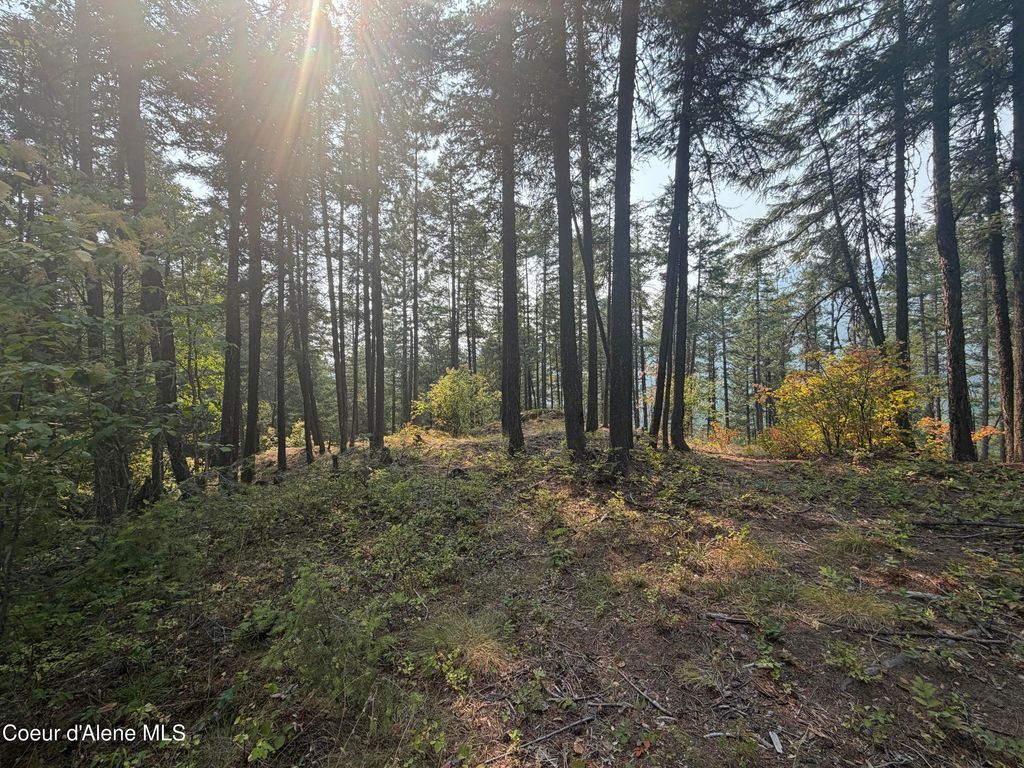 400 Riverview RDG, Sandpoint, ID 83864 photo 4