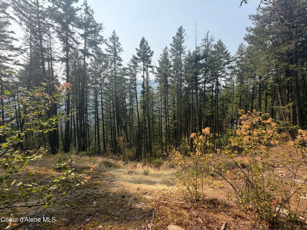 400 Riverview RDG, Sandpoint, ID 83864 photo 5