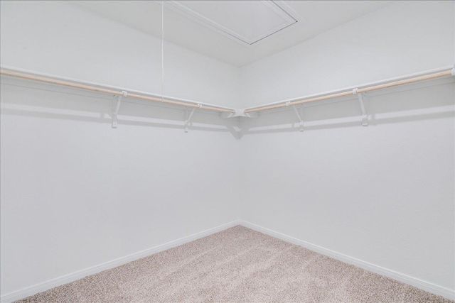 320 Yosemite DR, Kyle, TX 78640