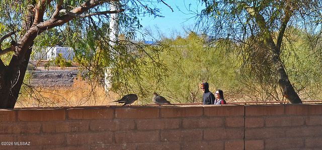 2040 E River Rd Unit 205, Tucson, AZ 85718