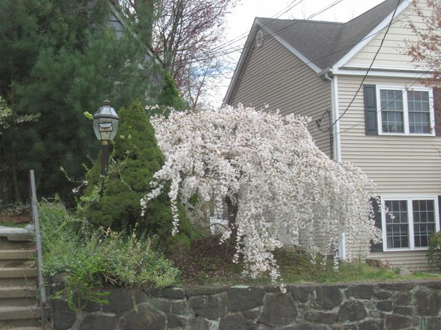739 Lindbergh Avenue, Peekskill, NY 10566