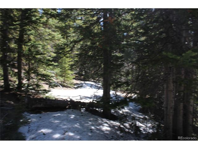 0 Miners Mesa Rd, Black Hawk, CO 80422