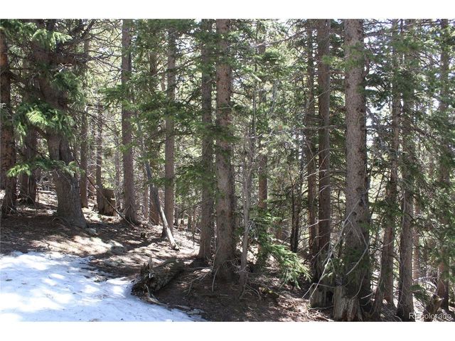 0 Miners Mesa Rd, Black Hawk, CO 80422