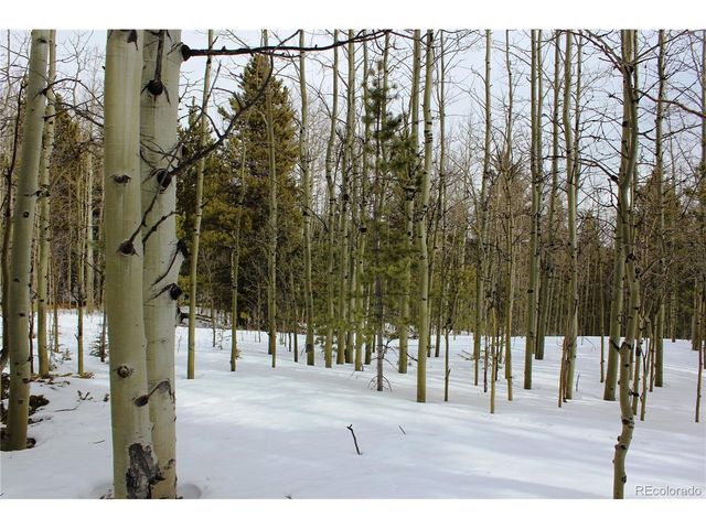 0 Miners Mesa Rd, Black Hawk, CO 80422