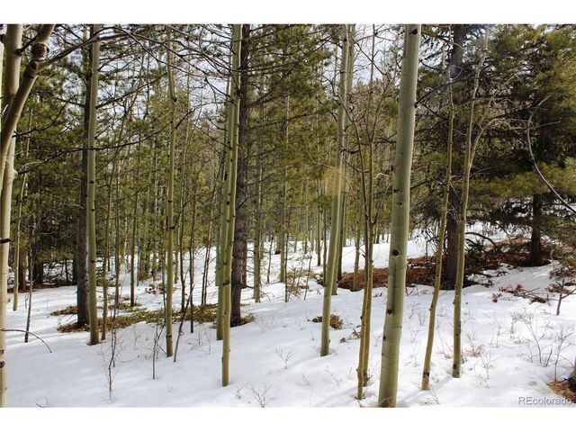 0 Miners Mesa Rd, Black Hawk, CO 80422