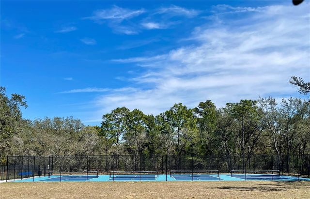 3458 AUTUMN AMBER DR, Spring Hill, FL 34609