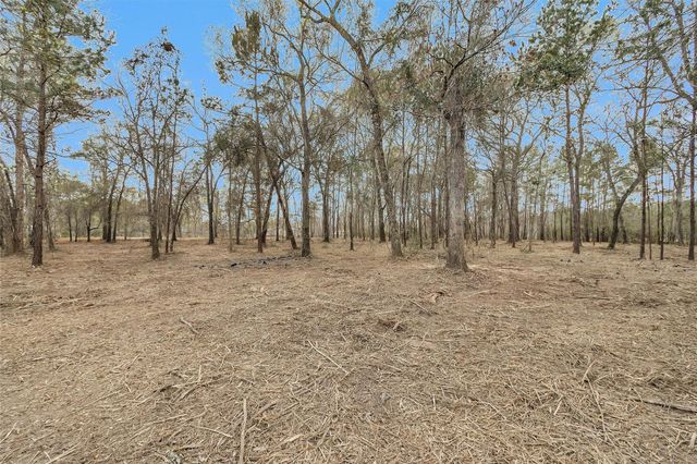 2921 Beasley Road, Conroe, TX 77301