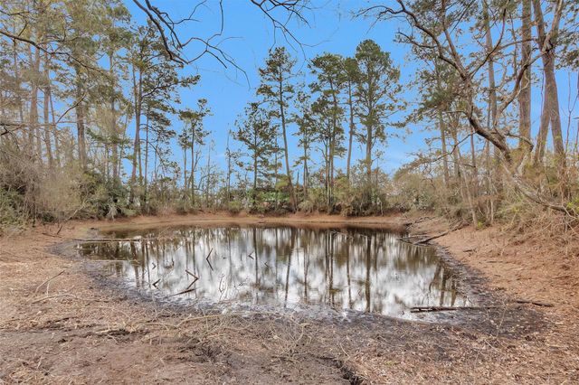 2921 Beasley Road, Conroe, TX 77301