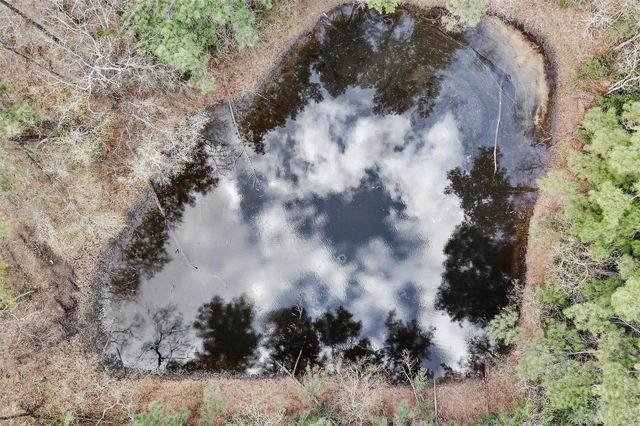 2921 Beasley Road, Conroe, TX 77301