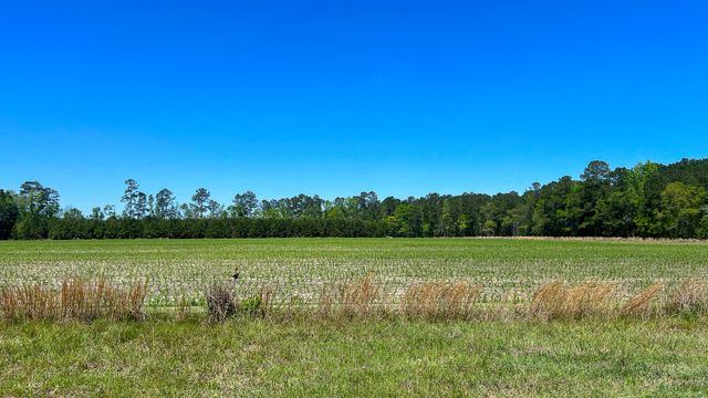 1296 Risher Mountain Road, Walterboro, SC 29488