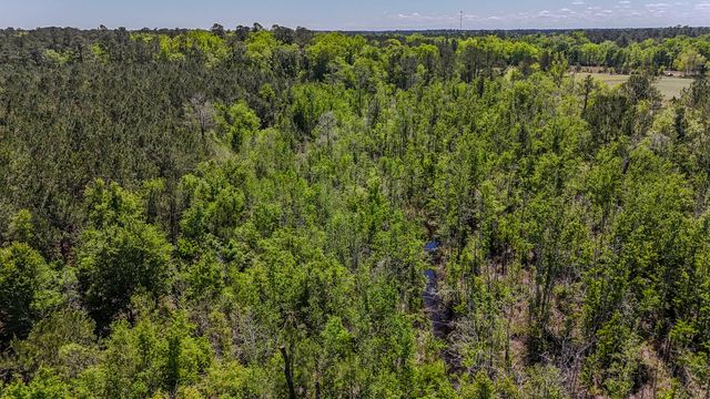 1296 Risher Mountain Road, Walterboro, SC 29488