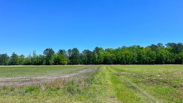 1296 Risher Mountain Road, Walterboro, SC 29488