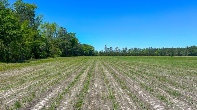 1296 Risher Mountain Road, Walterboro, SC 29488