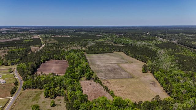 1296 Risher Mountain Road, Walterboro, SC 29488