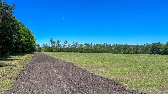 1296 Risher Mountain Road, Walterboro, SC 29488