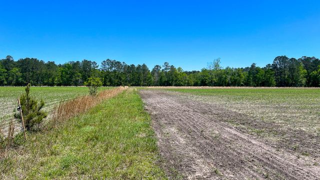 1296 Risher Mountain Road, Walterboro, SC 29488