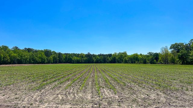 1296 Risher Mountain Road, Walterboro, SC 29488