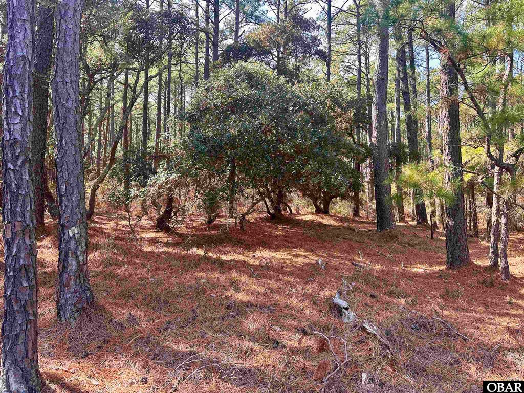 Image 8 of property listing at 2322 Ocean Pearl Road Lot 2, Corolla, NC 27927