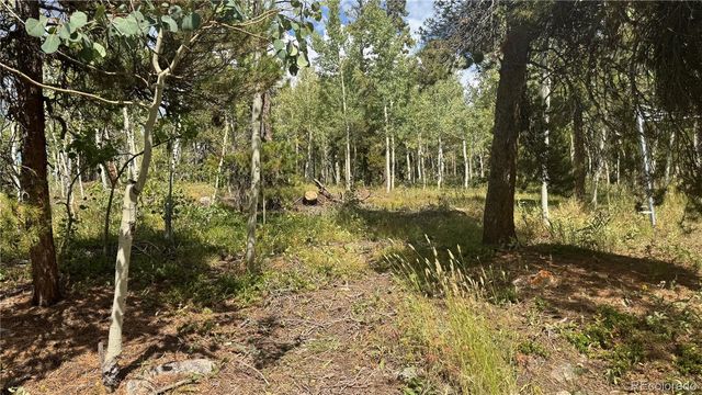 83 Peak View Drive, Black Hawk, CO 80422