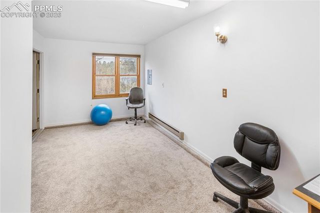 36 Illini Drive, Woodland Park, CO 80863