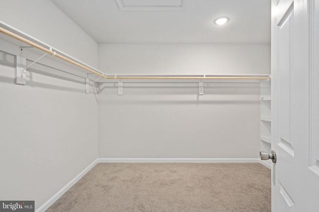 16014 CARRINGTON CT, Mineral, VA 23117