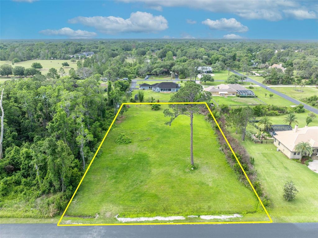 MILL POND ROAD, Tavares, FL 32778
