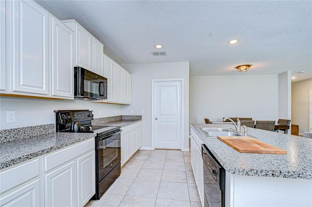 10013 ROSEMARY LEAF LANE, Riverview, FL 33578