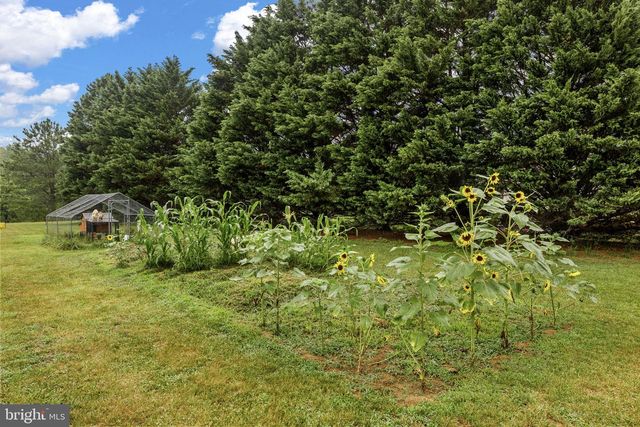 31185 PRICE RD, Locust Grove, VA 22508