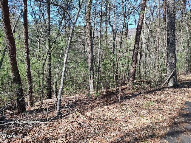 Lot 10 John Boy Trail, Sevierville, TN 37862