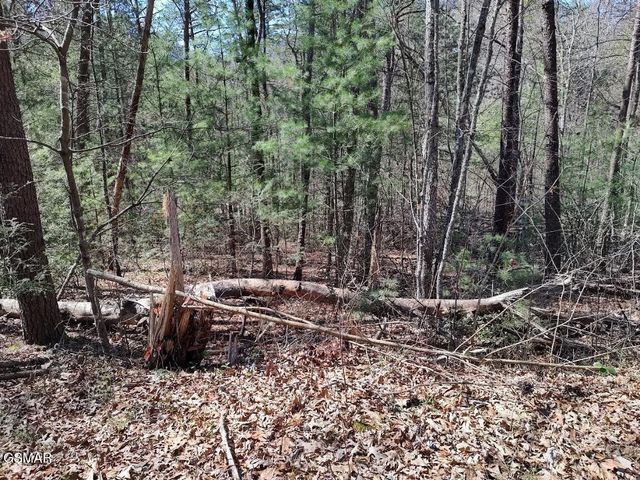Lot 10 John Boy Trail, Sevierville, TN 37862
