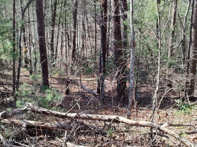 Lot 10 John Boy Trail, Sevierville, TN 37862