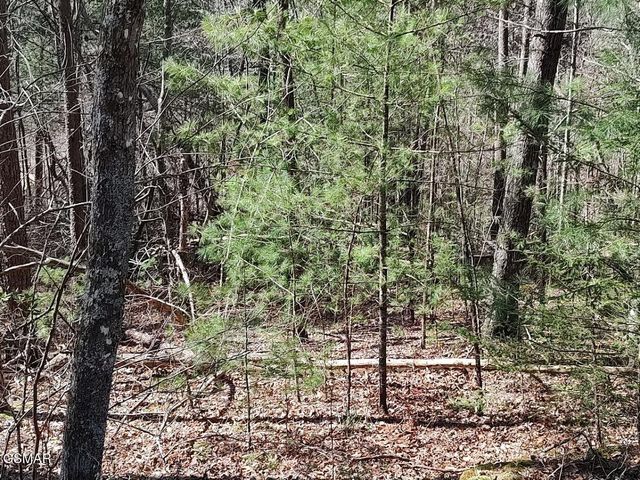 Lot 10 John Boy Trail, Sevierville, TN 37862
