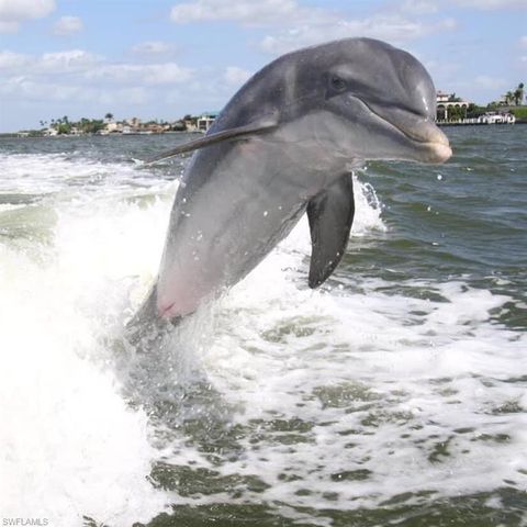 160 Palm ST 208, Marco Island, FL 34145