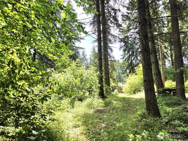 32906 54th Avenue S, Roy, WA 98580