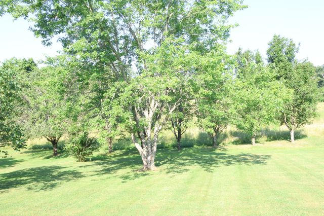 332 Hazeltine Dr, Gallatin, TN 37066