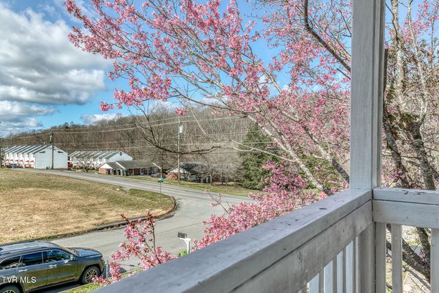 105 Saint James Place, Bristol, TN 37620